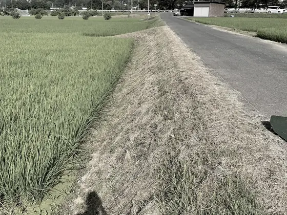 防草シート工事 施工前の法面